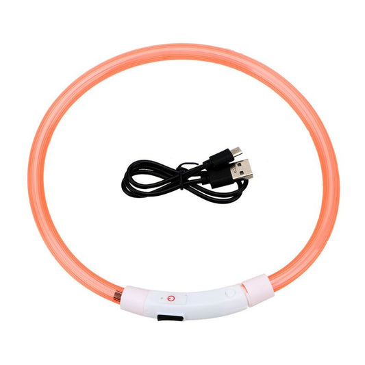 Collier Chien Lumineux