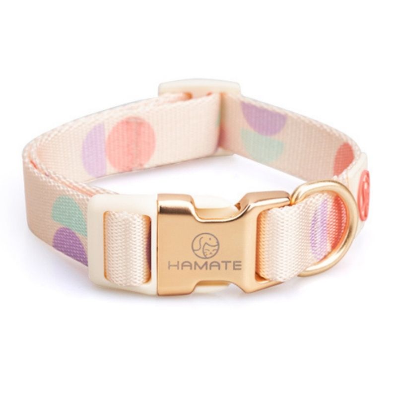 Collier pour Chiot Beige