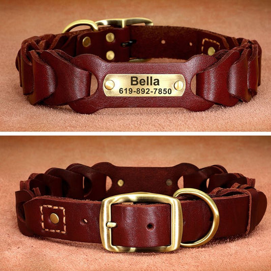 Collier Chien Cuir