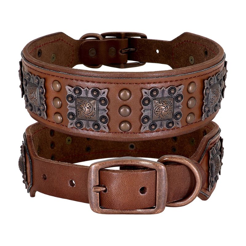 Collier Cuir pour Chien