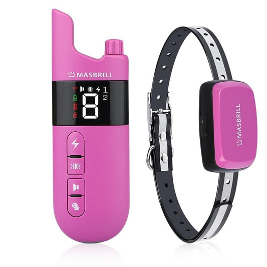 Collier d'Education pour Chien