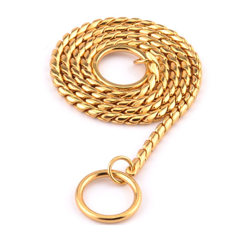 Collier Etrangleur pour Chien