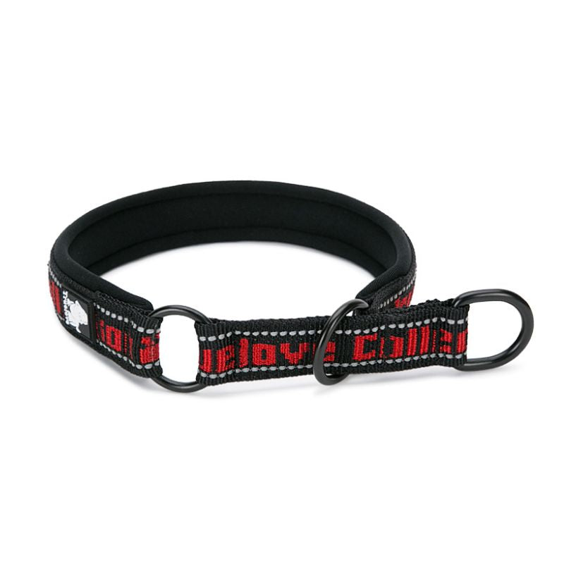 Collier Etrangleur Chien