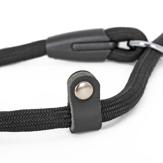 Collier Etrangleur Chien