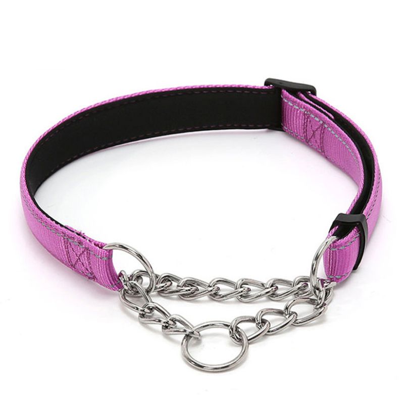 Collier Dressage Chien