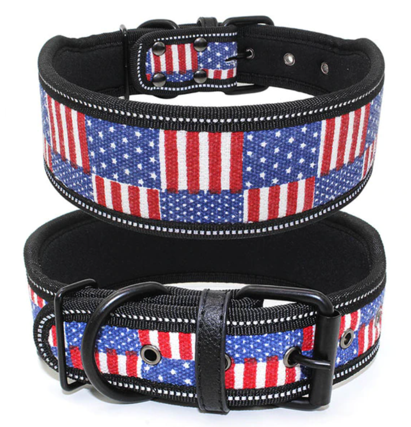 Collier Solide Pour Husky