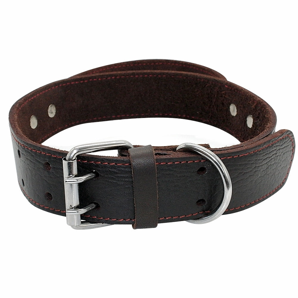 Collier Chien Cuir Poignée