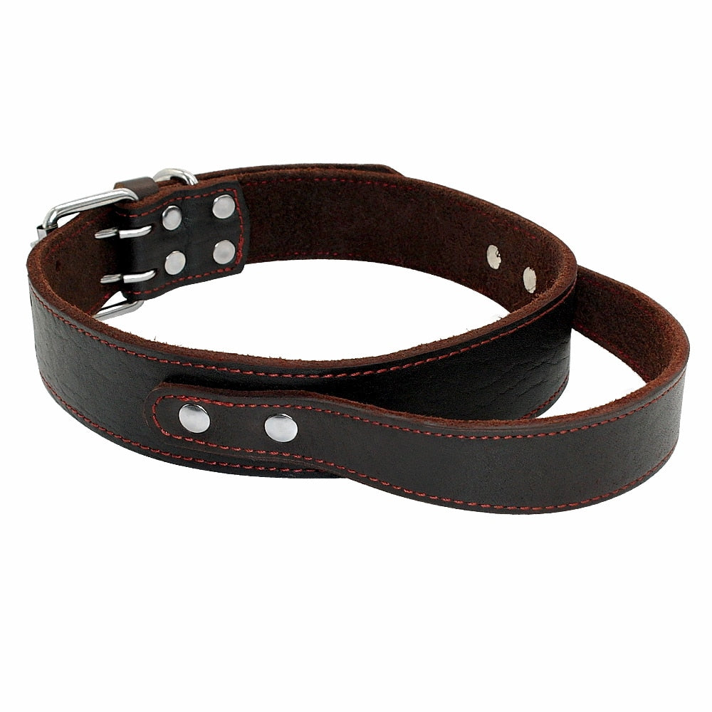 Collier Chien Cuir Poignée