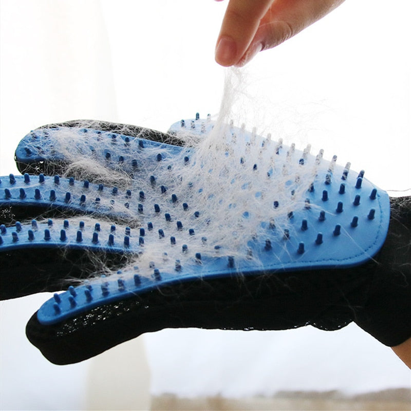 Brosse Gant Pour Chien Bleu