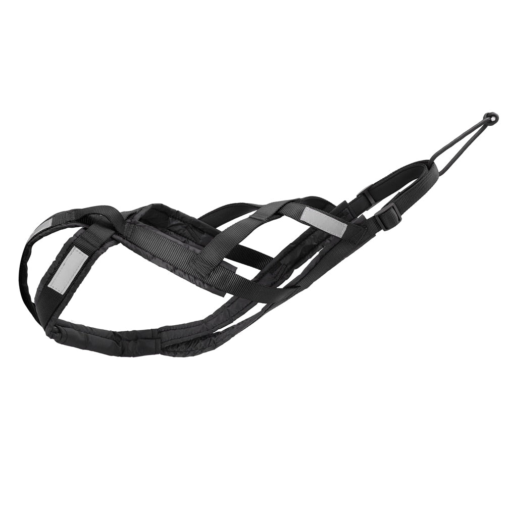 Harnais Traction Cani Rando
