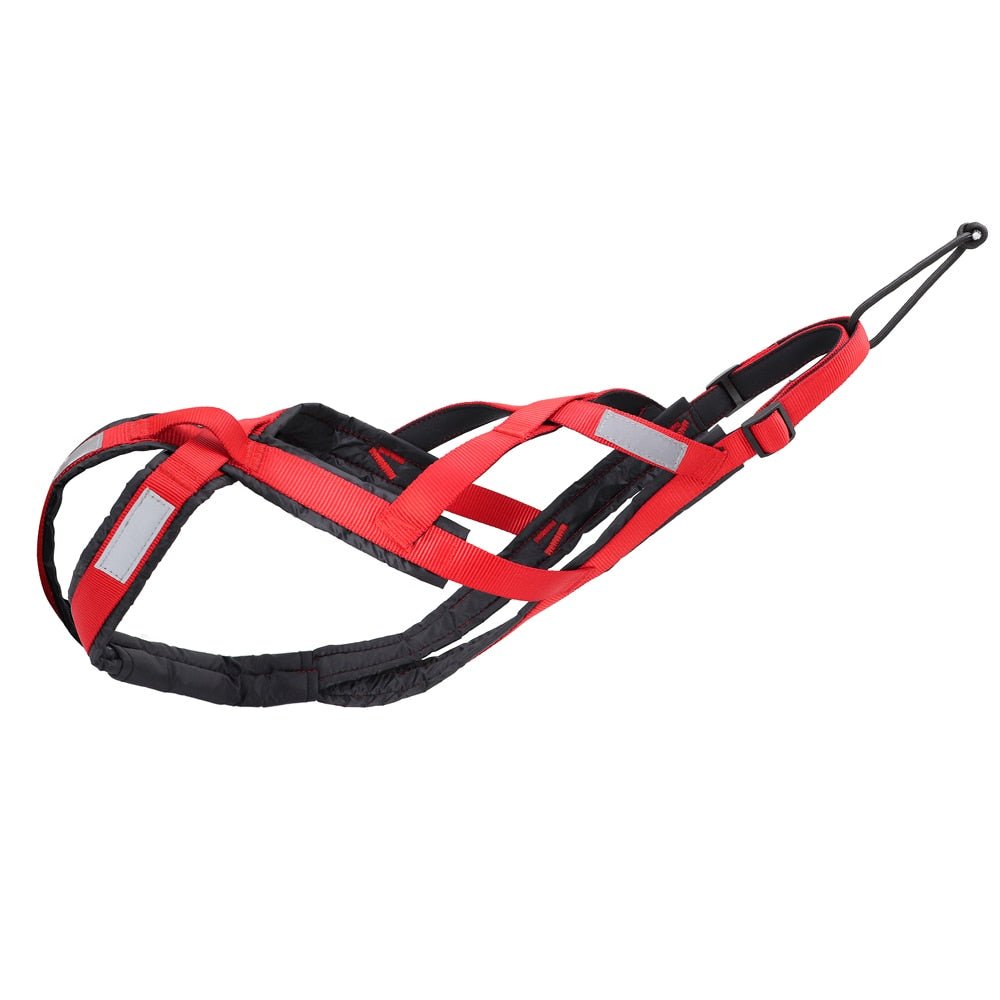 Harnais Traction Cani Cross