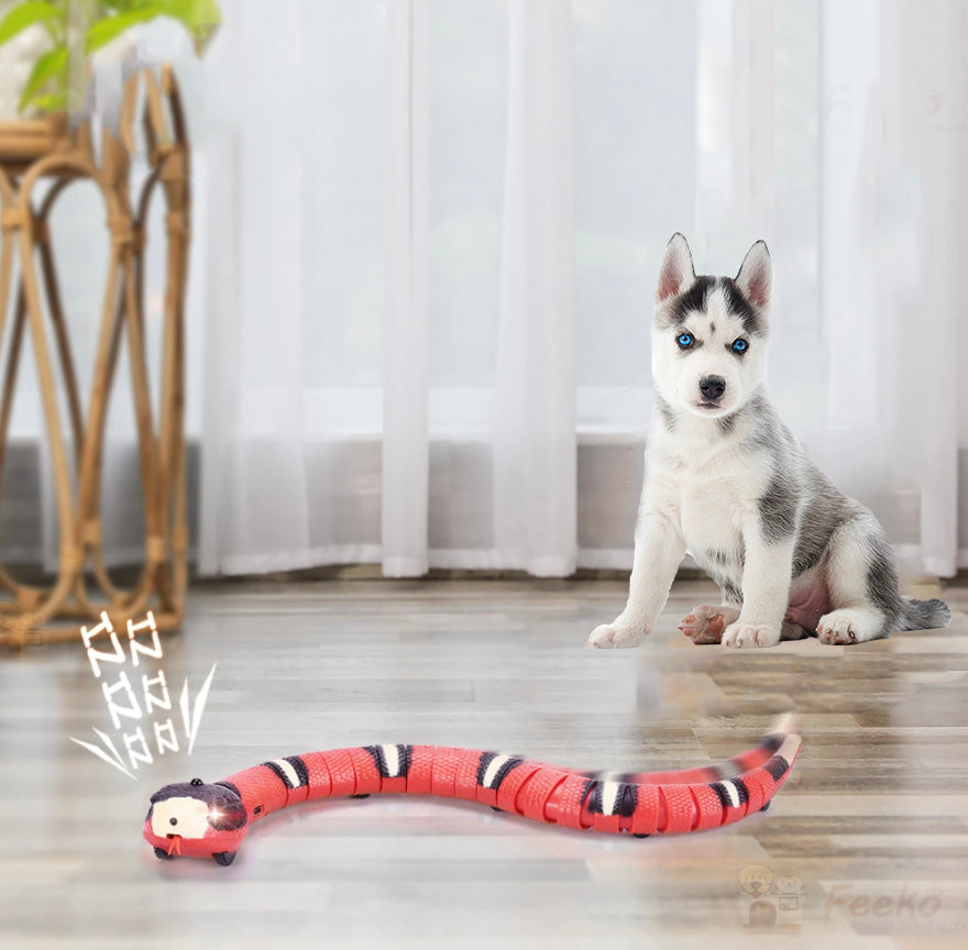 Jouet Pour Chien Interactif