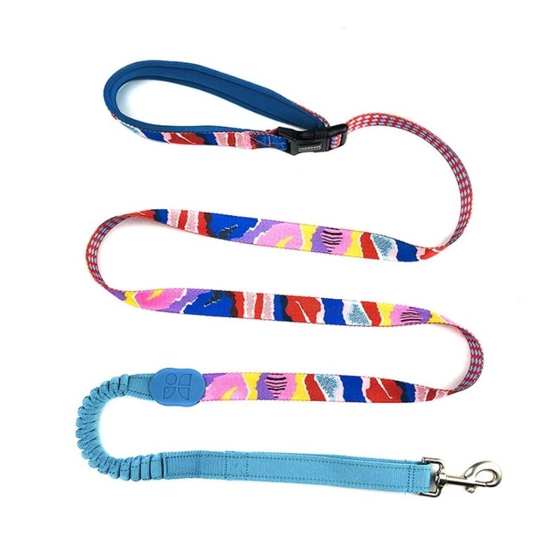 Laisse Chien Colorée