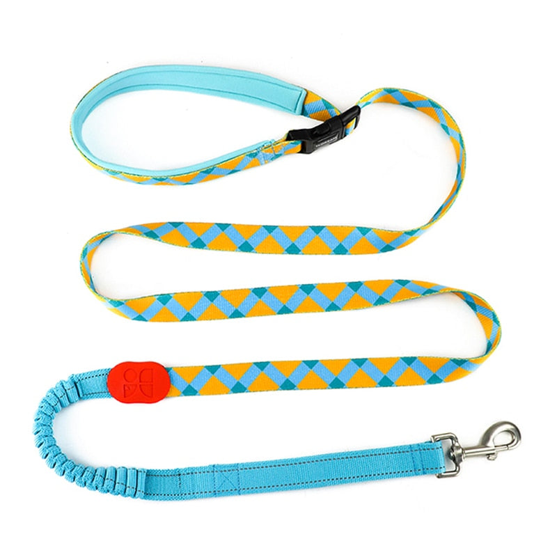 Laisse pour Chien Colorée