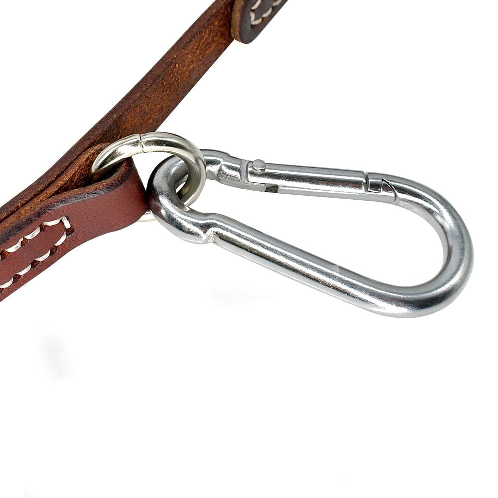Laisse Cuir Chien