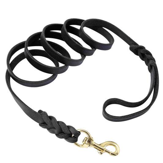 Laisse En Cuir pour Chien