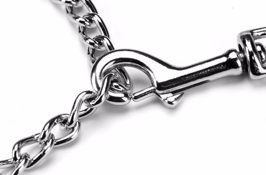 Laisse en Chaine pour chien