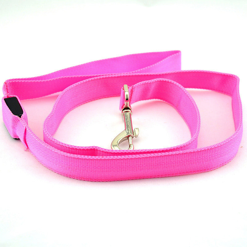 Laisse Lumineuse Led Rose