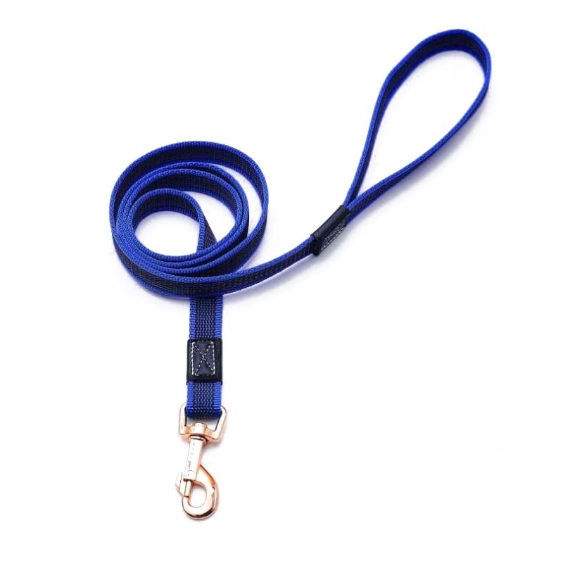 Laisse Chien Bleu