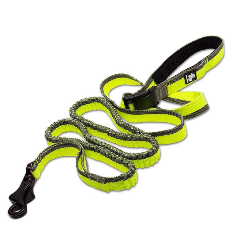 Laisse TrueLove Nylon Fluo