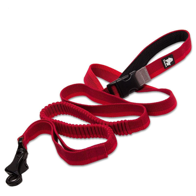 Laisse TrueLove Nylon Rouge