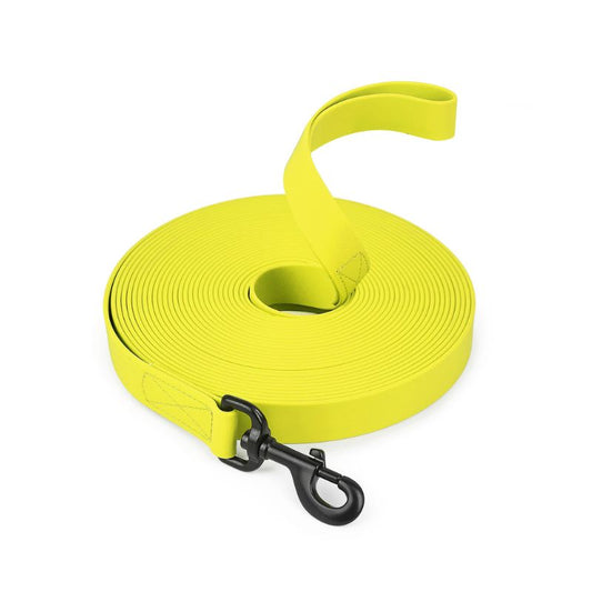 Longe Chien Jaune