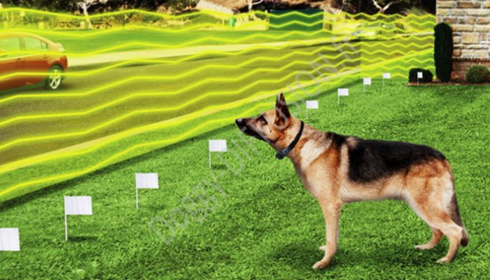 Clôture Électrique Sans Fil Pour Chien | Portée 3-350 M | 3 Modes (Son, Vibration, Stimulation) | Collier Étanche IPX6