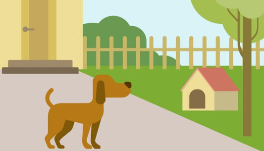 Cloture Electrique pour Chien 