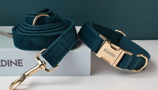 Collier Chien Personnalisé