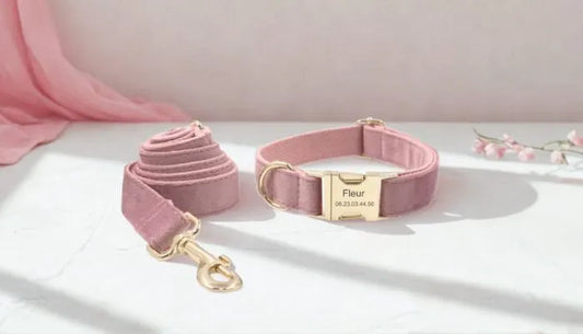 Collier Chien Personnalisé Rose