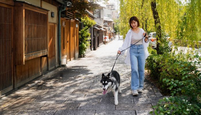 La longe pour chien : parfois plus efficace qu’une laisse courte