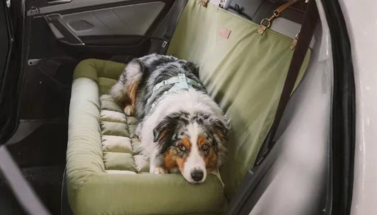 Panier Chien pour Voiture