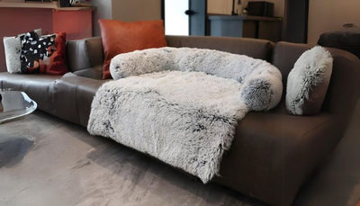 Bien choisir un panier pour chien