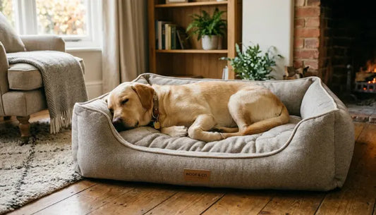 Panier pour Chien Confort