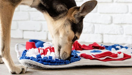 Tapis de Fouille Chien
