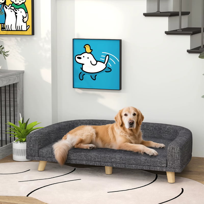 Canapé Chien Gris