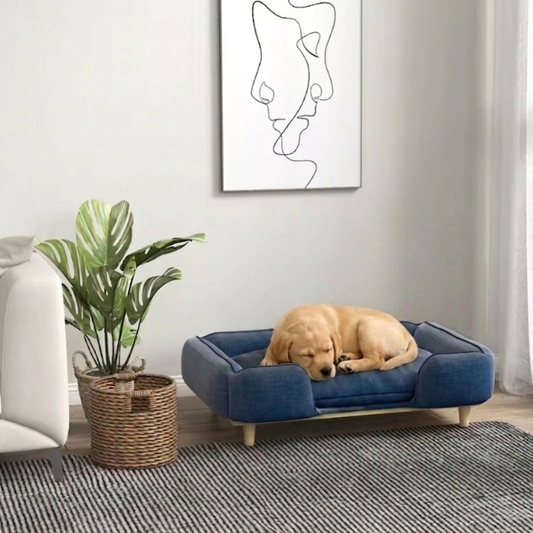 Canape Chien Pieds