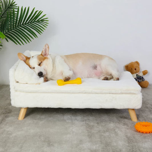 Canapé pour Chien élévé
