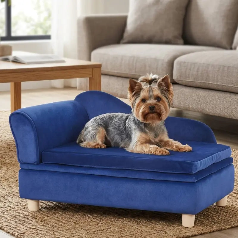 Canapé pour Chien Velours