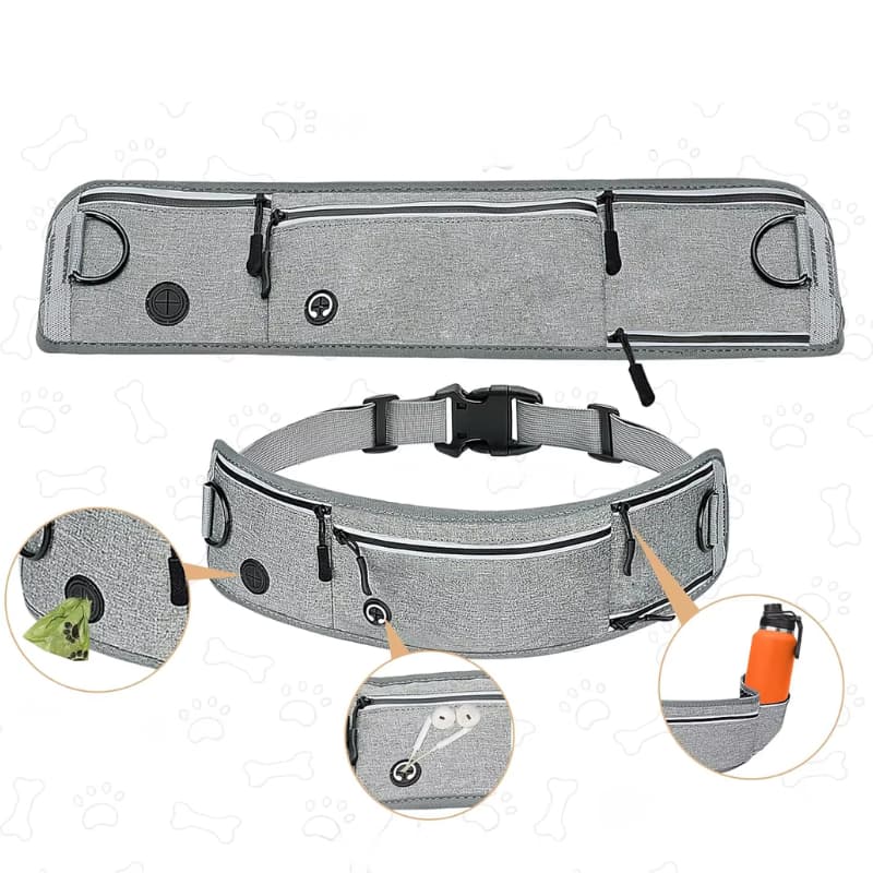 Canicross pour Chien