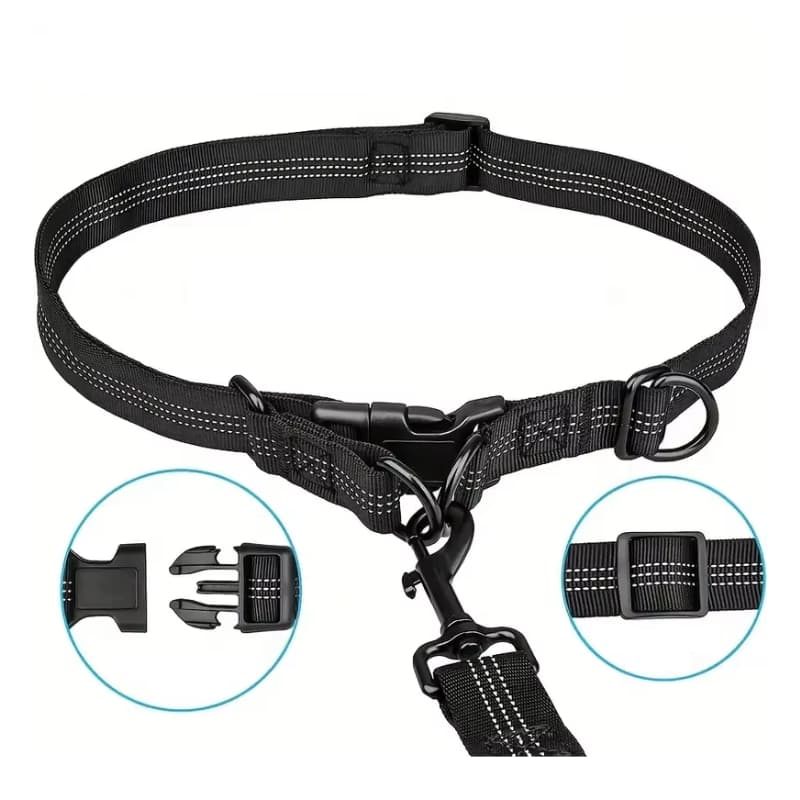 Ceinture Canicross 