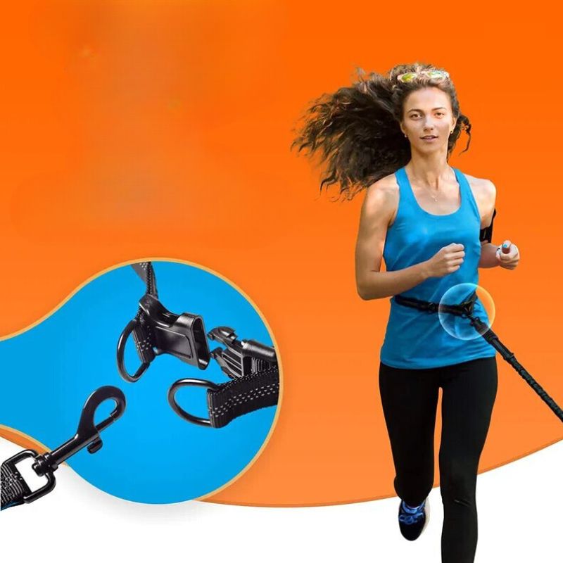 Ceinture Canicross Double