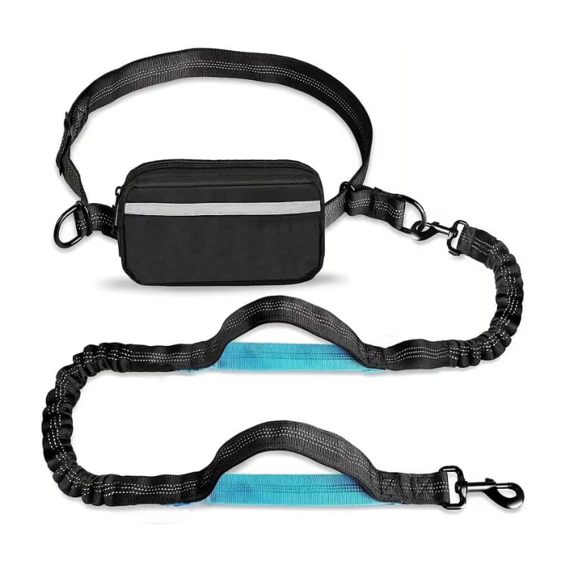 Ceinture Canicross Bleu