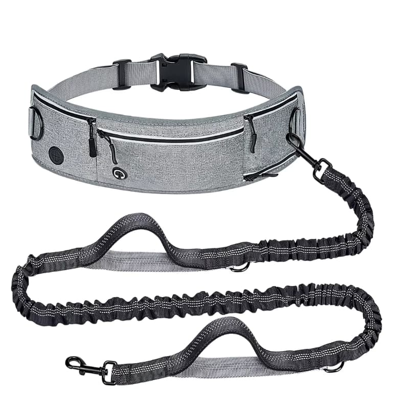 Ceinture Canicross Gris