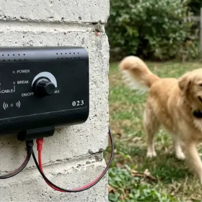Cloture Electrique pour Chien