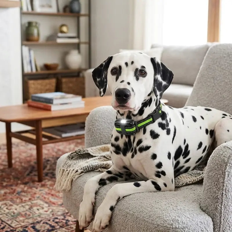 Collier Anti Fugue Chien Tissu