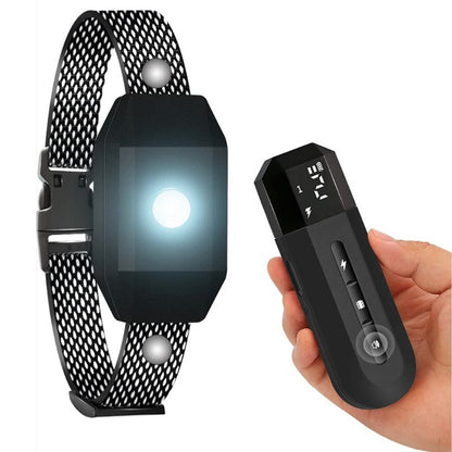 Collier Anti Fugue Chien Noir