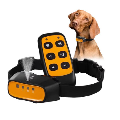 Collier Chien Citronnelle