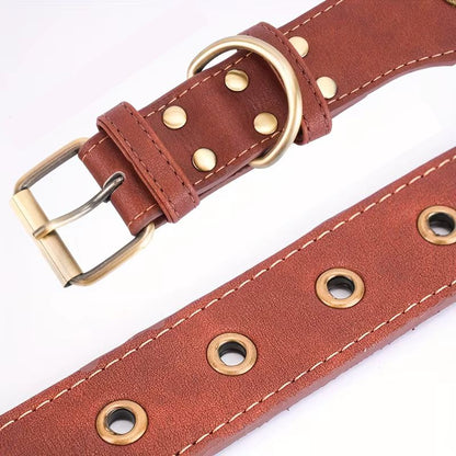 Collier Chien Cuir Pierres