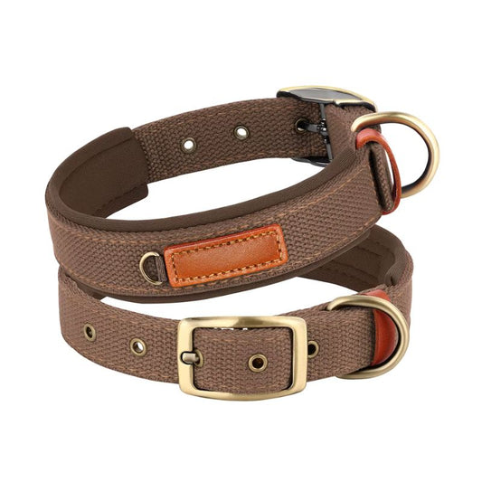 Collier Chien Gris